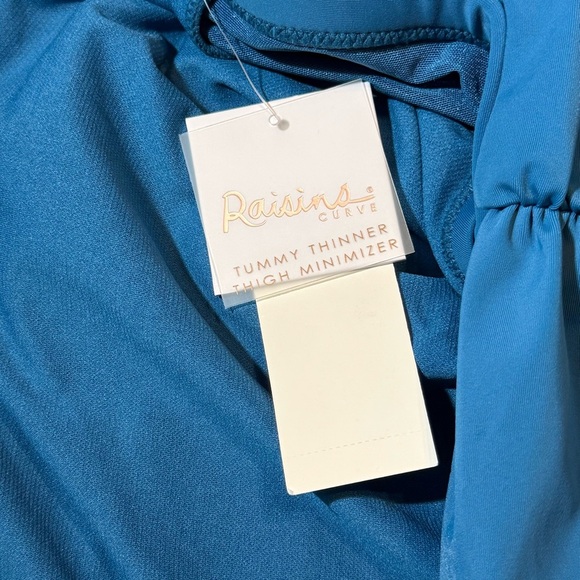 Raisins Curve Plus Costa Ruched High Waist Swim Skirt Blue size 24W - Picture 9 of 10